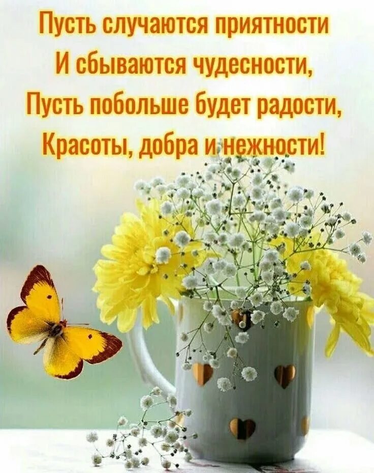 Пожелания с добрым утром и позитивного дня. Интересные пожелания. пусть случаются приятности и сбываются чудесности. добрые пожелания. позитивные пожелания на день.