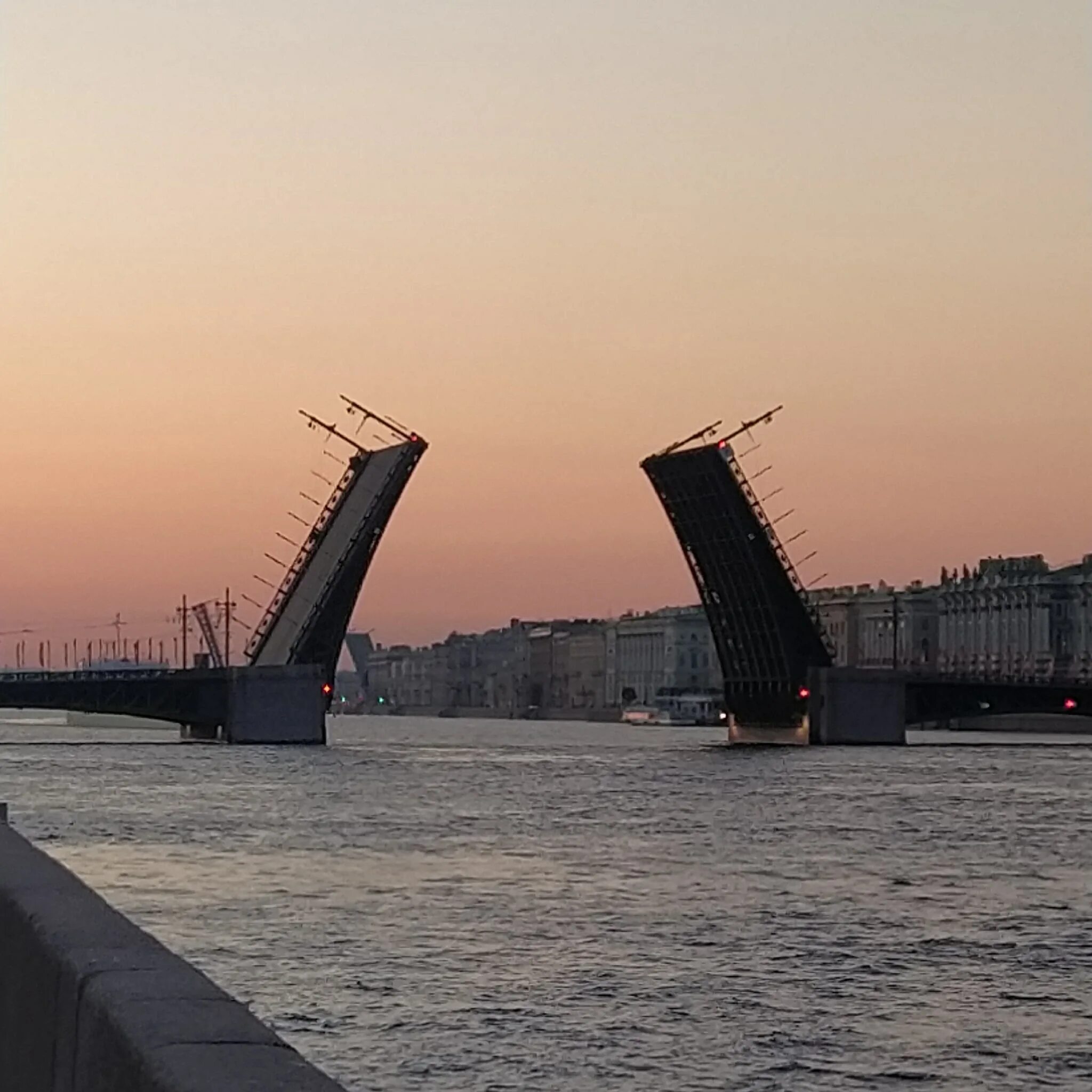 В каком году белые ночи. Пик белых ночей в Санкт-Петербурге.