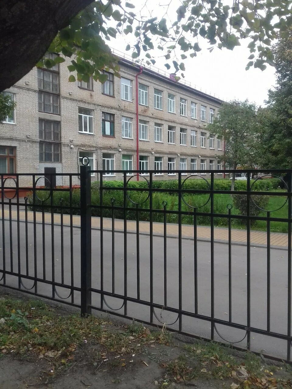 Мичуринская 24 школа. Мичуринская 24 школа. Защитная 1а тамбов. 22 школа тамбов. 24 школа тамбов 2 корпус ул мичуринская.