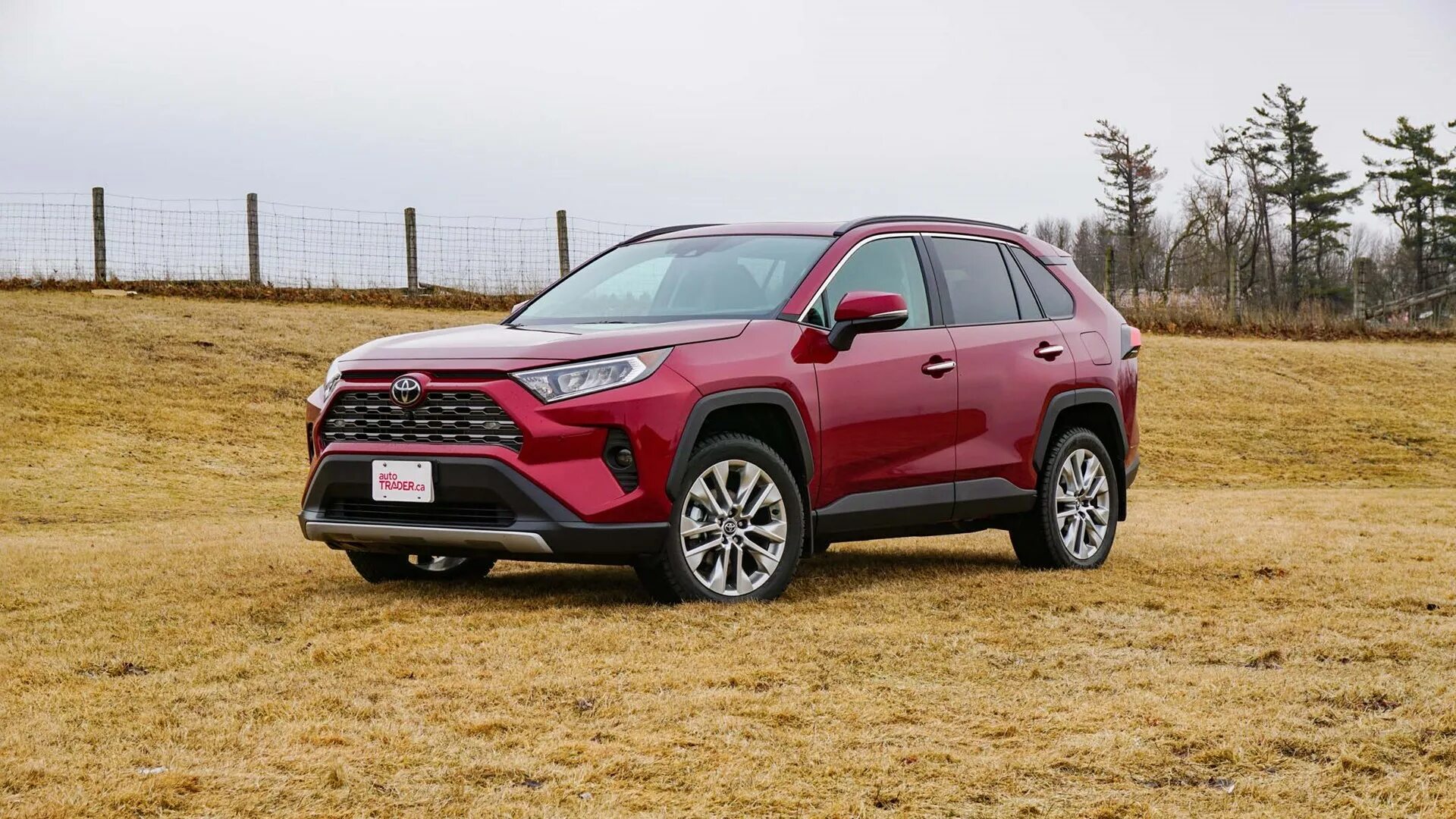 Рав 4 2025 года фото. Toyota rav4 2025. тойота рав 4 тойота 2025. toyota rav4 2025 красный. toyota rav4 2025 красный.