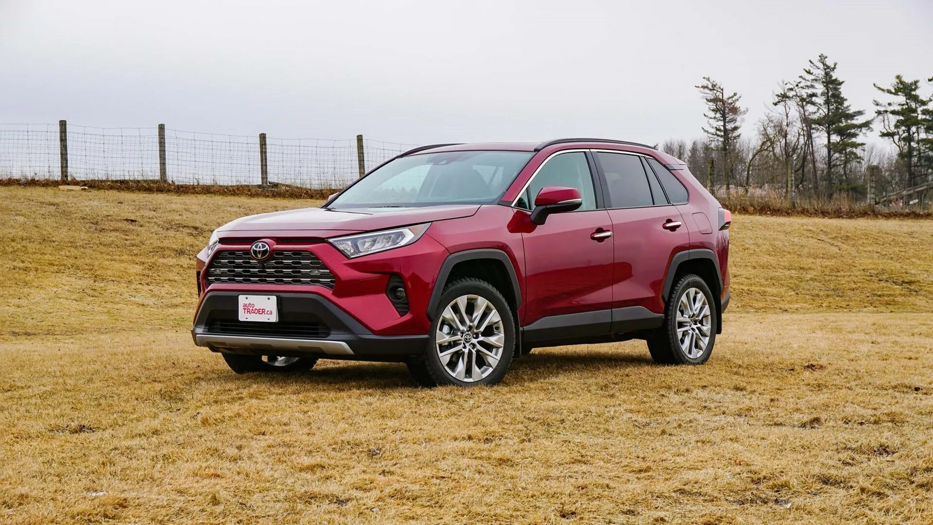 Toyota rav4 2020. Toyota rav4 4 2020. Тойота рав 4 Тойота 2020. Toyota rav4 2021. Большой рав