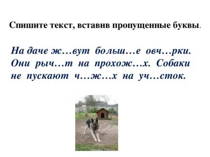 Спишите первый текст вставьте пропущенные буквы