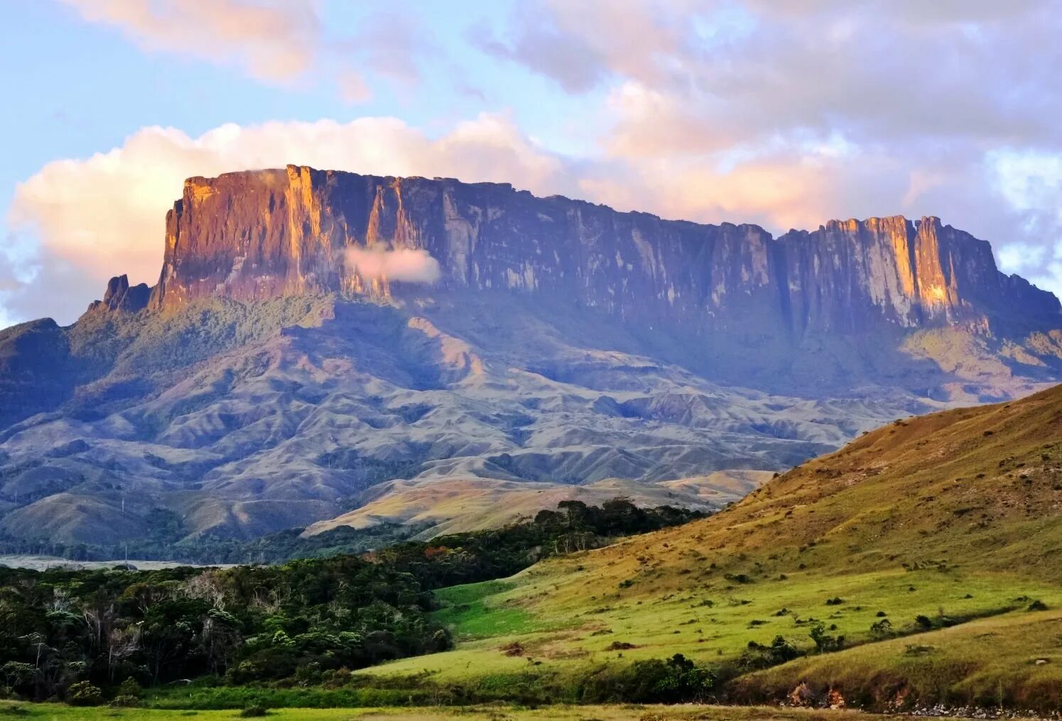 Природные особенности венесуэлы. Столовая гора Рорайма. Тепуи Венесуэла. Гвианское плоскогорье Бразилия. Гора Кукенан, Венесуэла.
