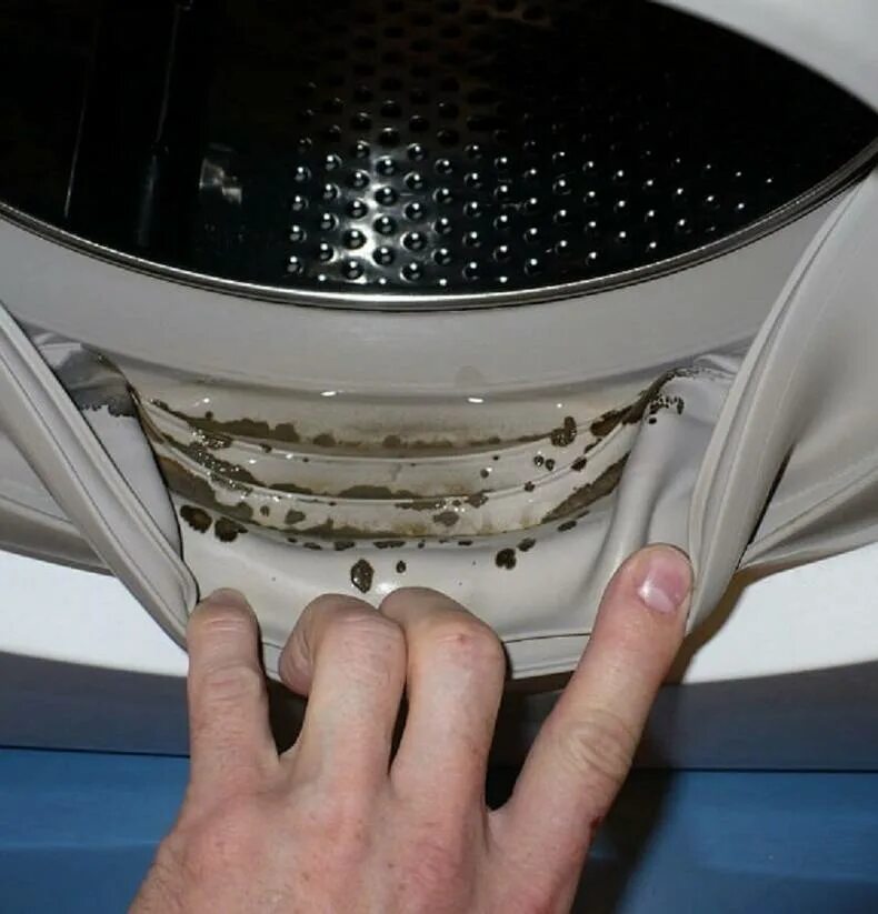 Причины скрежета стиральной машины