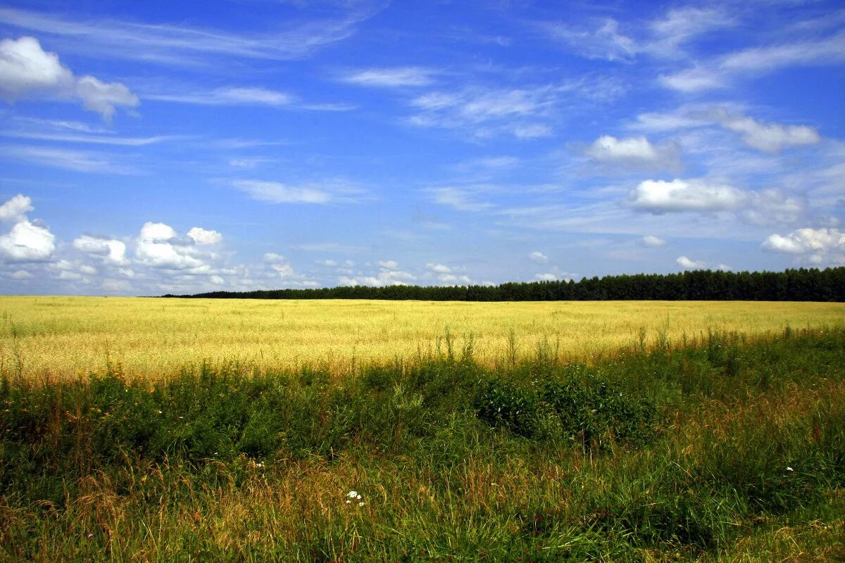 Красивые просторы. Простор пример. Простор пример. Просторы россии. Холмы перелески луга.