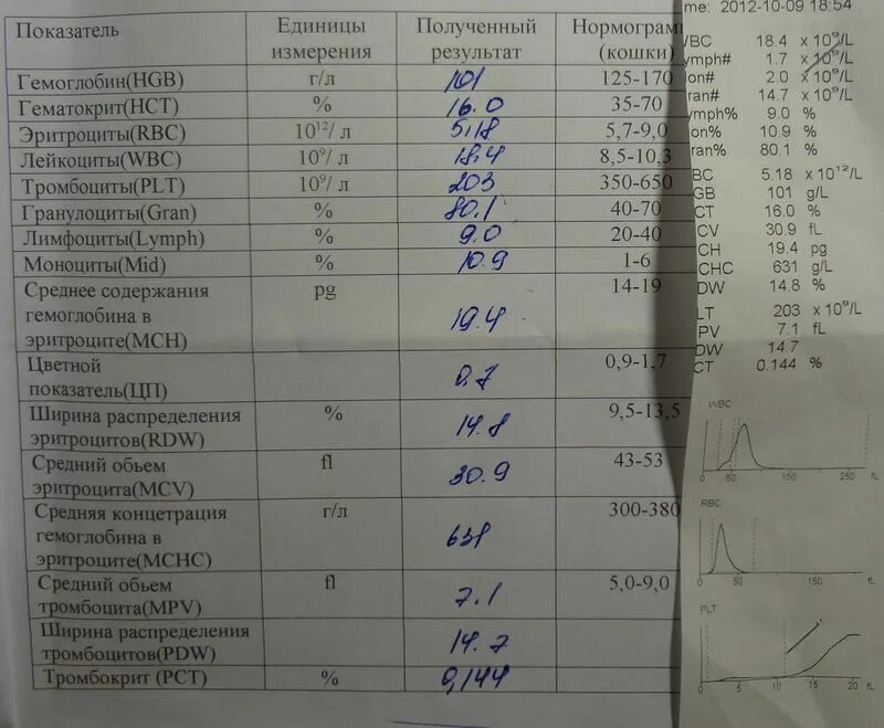 Что такое тромбокрит в анализе крови. Тромбоцитокрит крови норма. Тромбокрит (PCT). Тромбокрит показатели нормы. Тромбоциты при орви