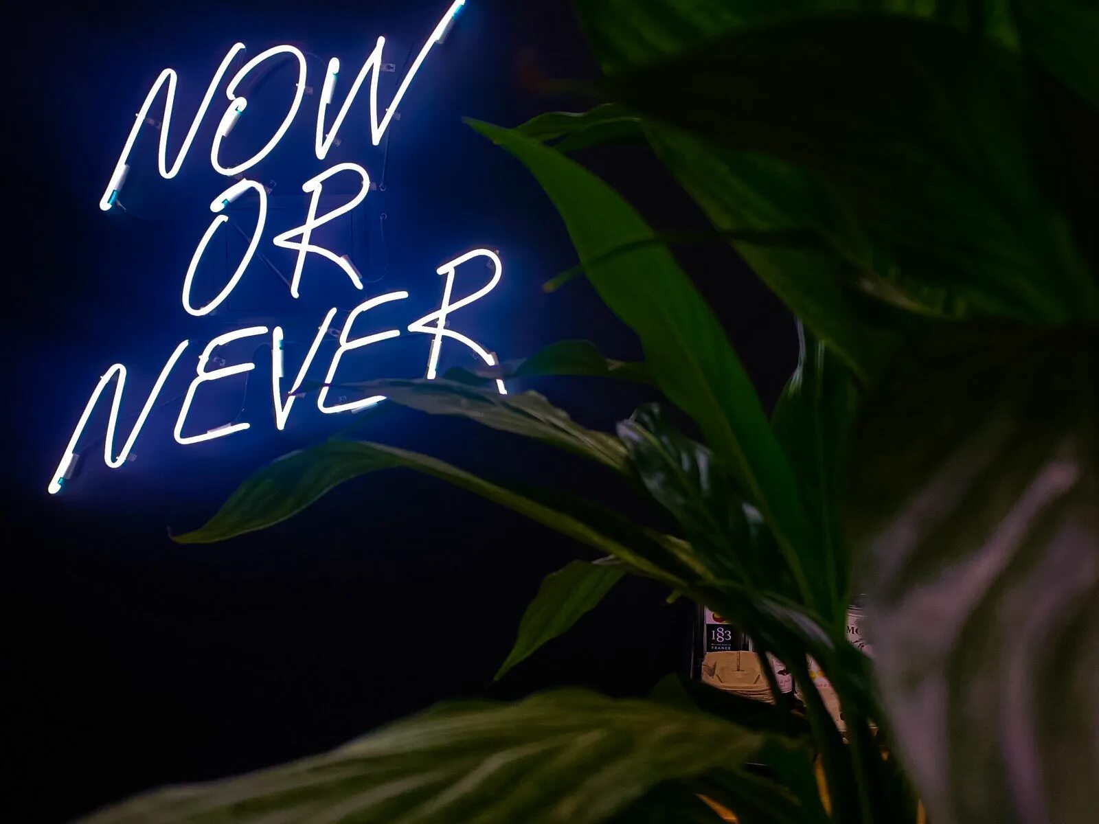 Now or never. Мотивирующие обои на телефон. Обои на рабочий стол now or never. Now or never phone wallpaper. Now or never надпись.