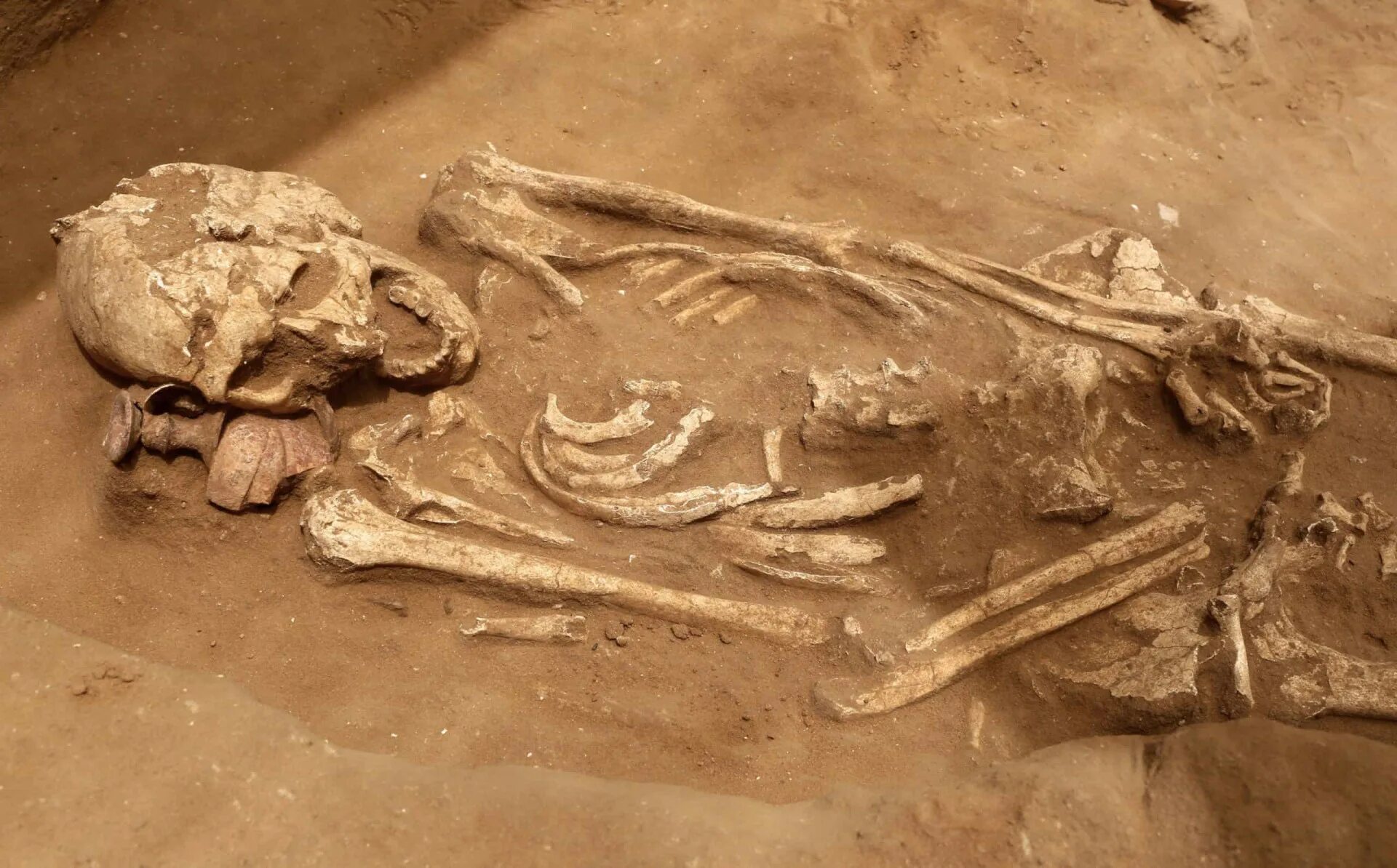 Останки древних людей в Грузии. Гигантские люди окаменелости. Old bone
