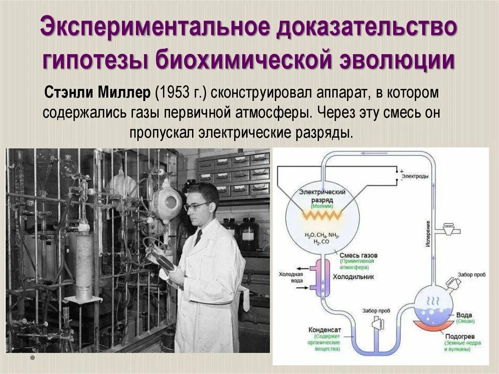 Гипотеза биохимической эволюции суть. Биохимической эволюции теория Стенли Миллера. Гипотеза биохимической эволюции Стэнли Миллер. Гипотеза биохимической эволюции доказательства. Биохимическая Эволюция гипотеза эксперимент.