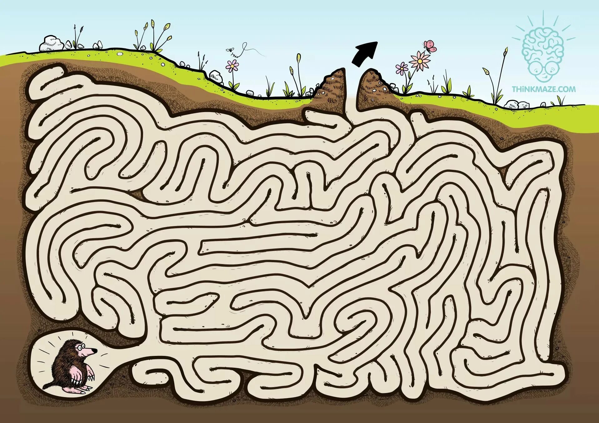 Лабиринт крота. Maze игра лабиринт. лабиринты для детей. интересные лабиринты для детей. лабиринт интересный.