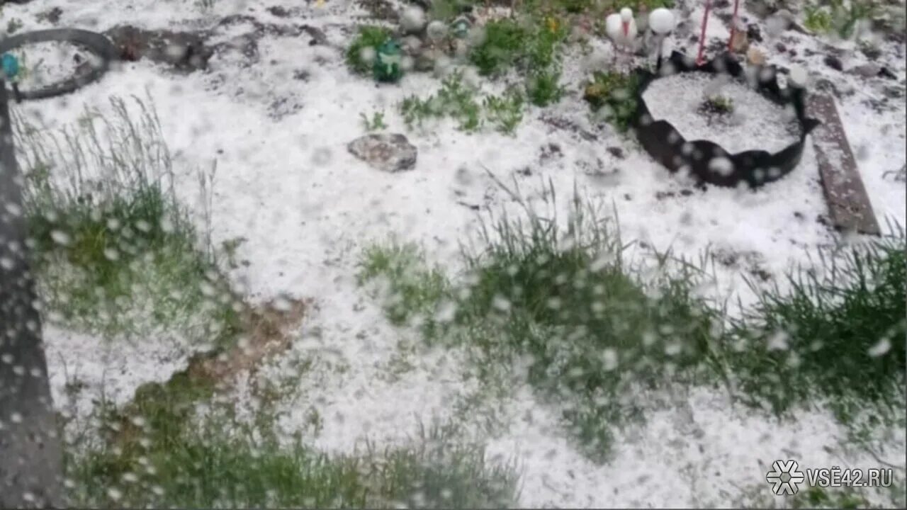 Где выпал снег в россии сегодня. Снег в Томске. Летний снег. Снег в Томске 3 июня 2022. Снег летом.