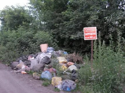 Штраф за свалку