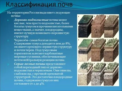 Выделенный грунт