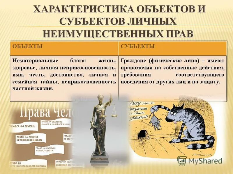 Царства живой природы 4 царства и их представители. Характеристики объекта животных. Общая характеристика хищников. Экологические группы млекопитающих. Таблица основных характеристик пород кошек.