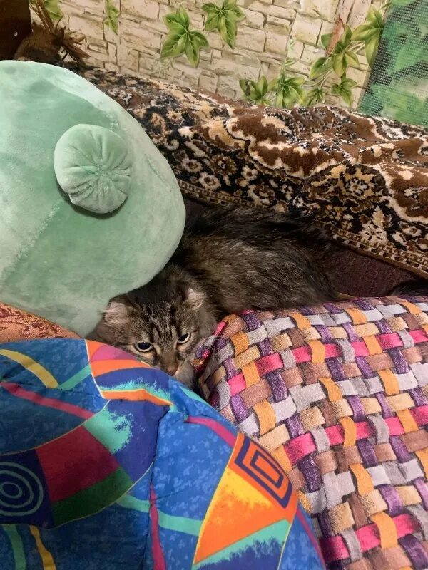 марина рябова ульяновск дари добро. дари добро радужный киров. дари добро проект. дари добро липецк. дари добро.