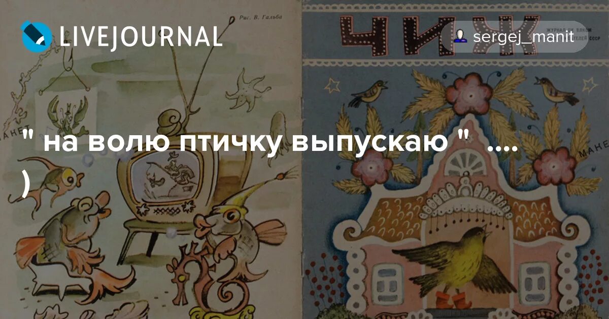 На волю птичку выпускаю при светлом. На волю птичку выпускаю-картинка. Пушкин на волю птичку выпускаю. Маршак стих жила на воле птичка. Выпускание птиц на волю.