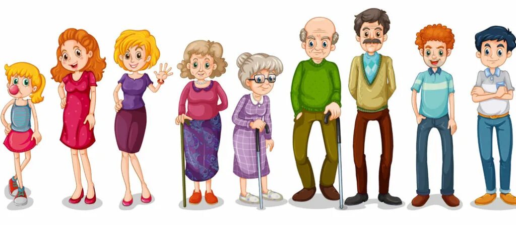 возраст человека.