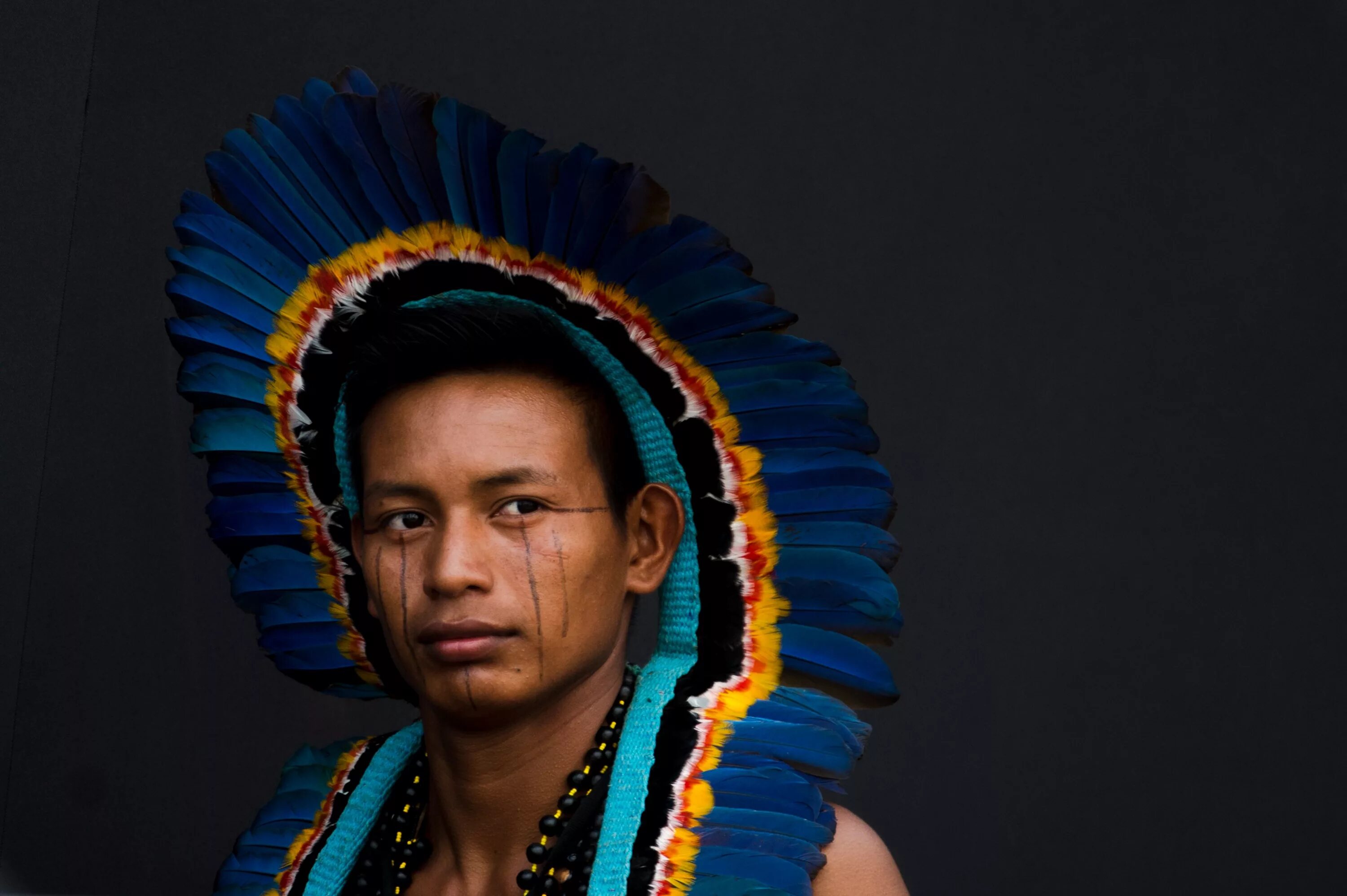 Зачем индейцам. Индейцы Джорджио Альбертини. Инки мужчины. Индейцы внешность. Народы Бразилии.
