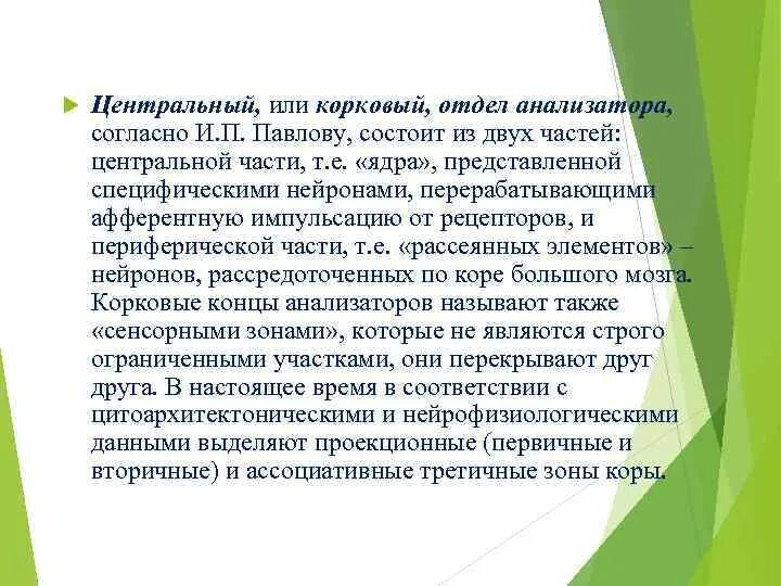 Анализатор представляет собой систему которая обеспечивает. Центральный или корковый отдел анализатора. корковый отдел анализатора. корковый отдел анализаторов павлов. когда созревает корковый отдел анализатора.