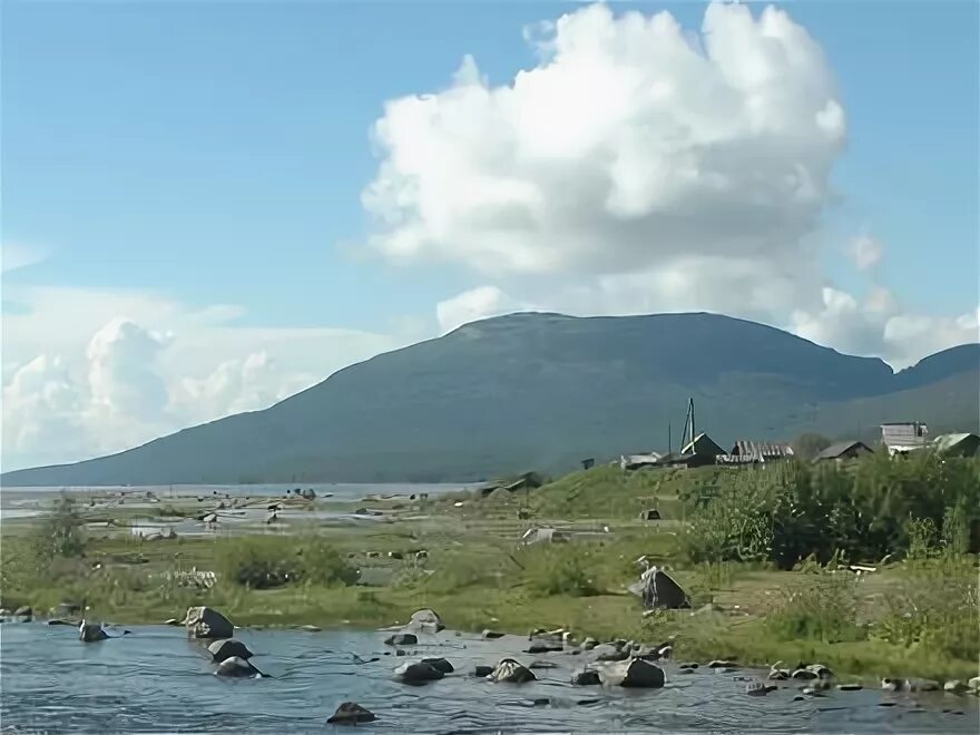 Колвица автобус