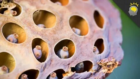 Spreading holes