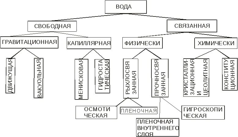 Свободная и связанная вода