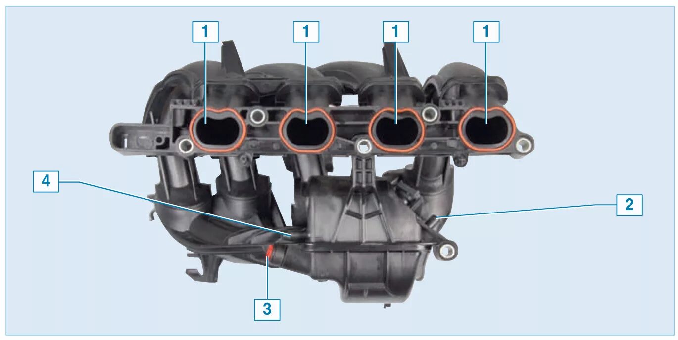 Штуцер впускного коллектора Форд фокус 2 2.0. Впускная труба Ford Focus 1. Впускной коллектор Форд фокус 2. Коллектор Форд фокус 3 1.6 105. Масло впускном коллекторе форд