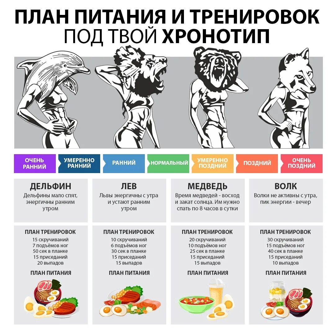 Интервальное голодание по хронотипу. План питания и тренировок под твой хронотип. Интервальное голодание по хронотипу медведь. Интервальное питание 16/8 схема для начинающих. Схема голода