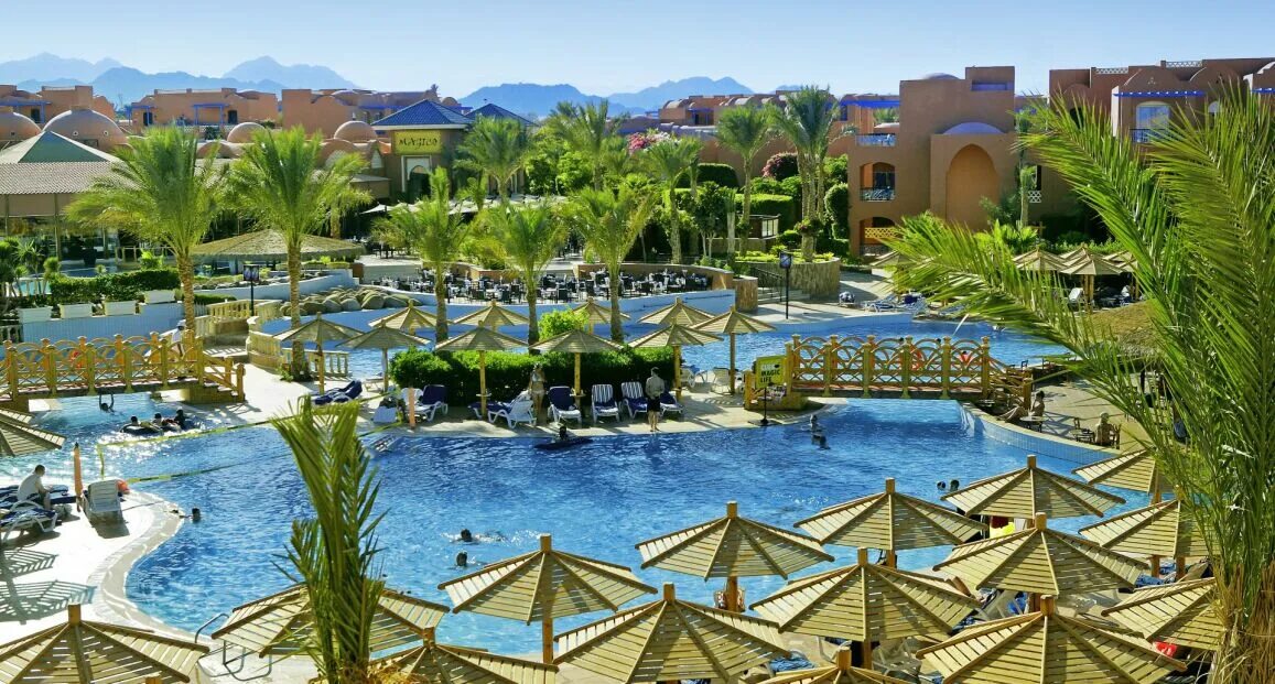 Magic world club. Отель Club Magic Life Sharm el Sheikh Imperial 5. Мэджик лайф Египет Шарм-Эль-Шейх. Шарм Эль Шейх Мэджик ворлд. Мэджик ворлд Шарм Египет Шарм-Эль-Шейх.