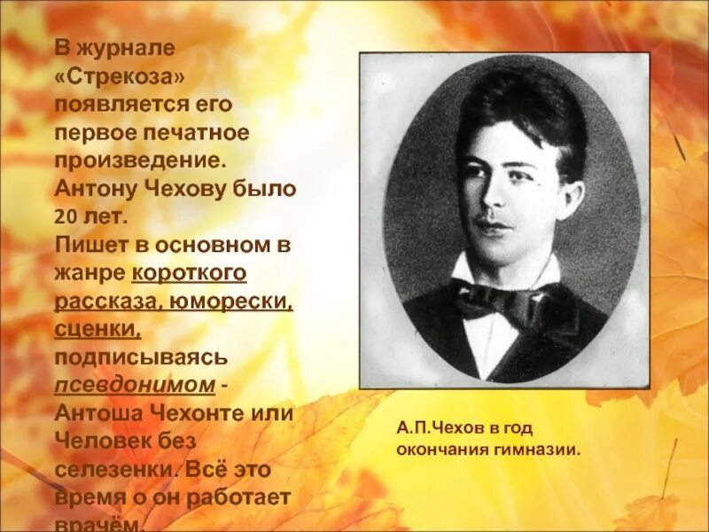 Чехов любимый писатель. Биография Чехова. Творчество а п Чехова. Презентация о жизни Чехова 4 класс.