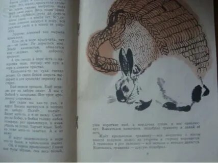 Васька бобка и крольчиха