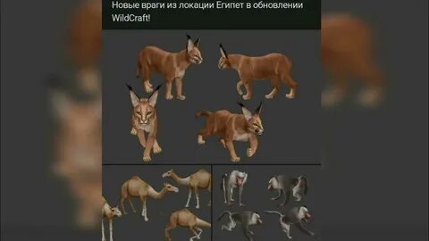 Обновления в вилд
