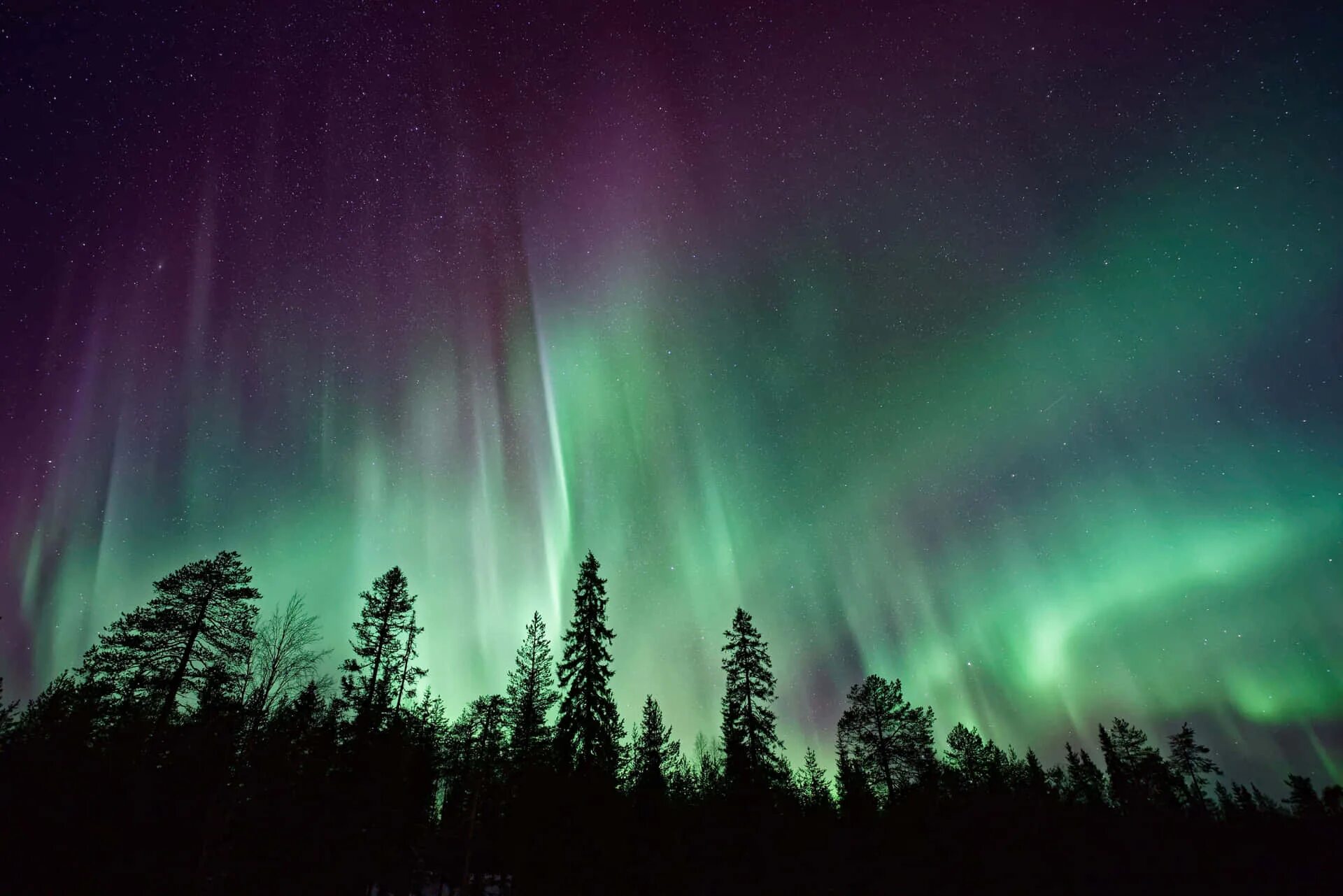 Ardor aurora. Северное сияние нижневартовск. северное сияние в выборге. северное сияние ухта 2025. aurora borealis северное сияние.