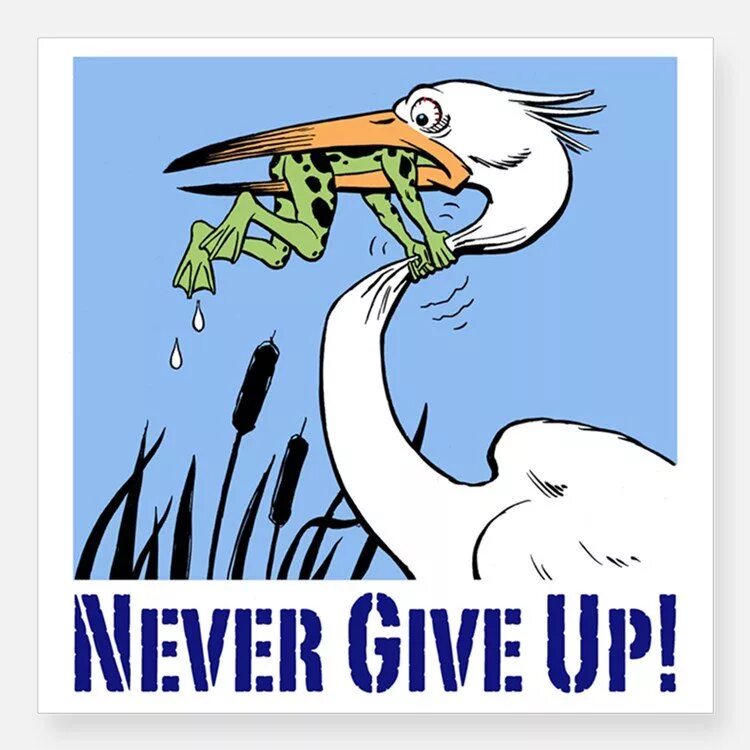Give up using. Never give up. never give up frog. never give up лягушка. never never give up.