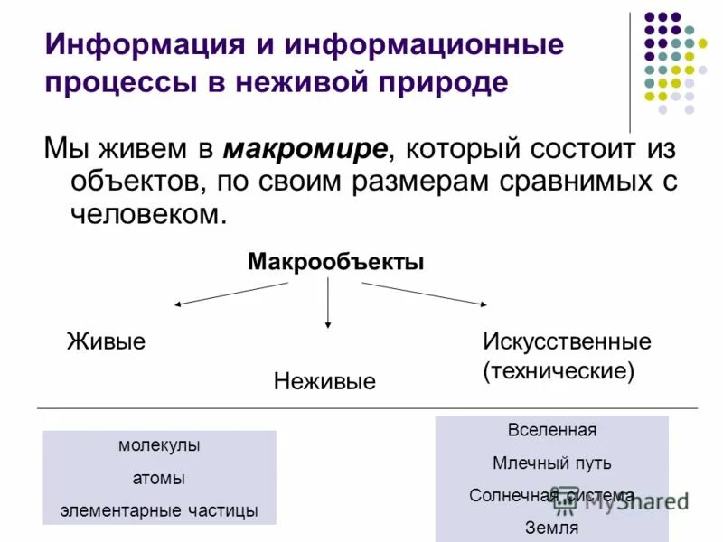 процессы в живой и неживой природе. процессы неживой природы. процессы в живой и неживой природе. информационные процессы в живой природе примеры. информационные процессы в неживой природе.