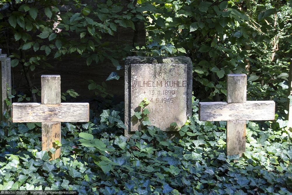 кладбище невостребованных. могилы самоубийц кладбище. как хоронят суицидников. кладбище самоубийц. как хоронят суицидников.