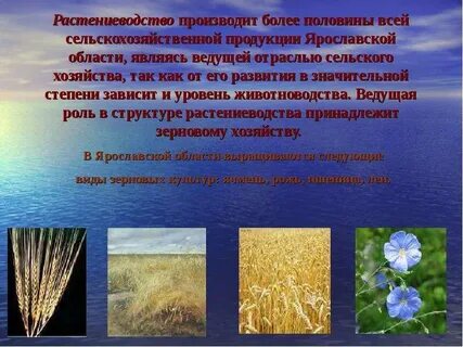 Ярославское сельское хозяйство