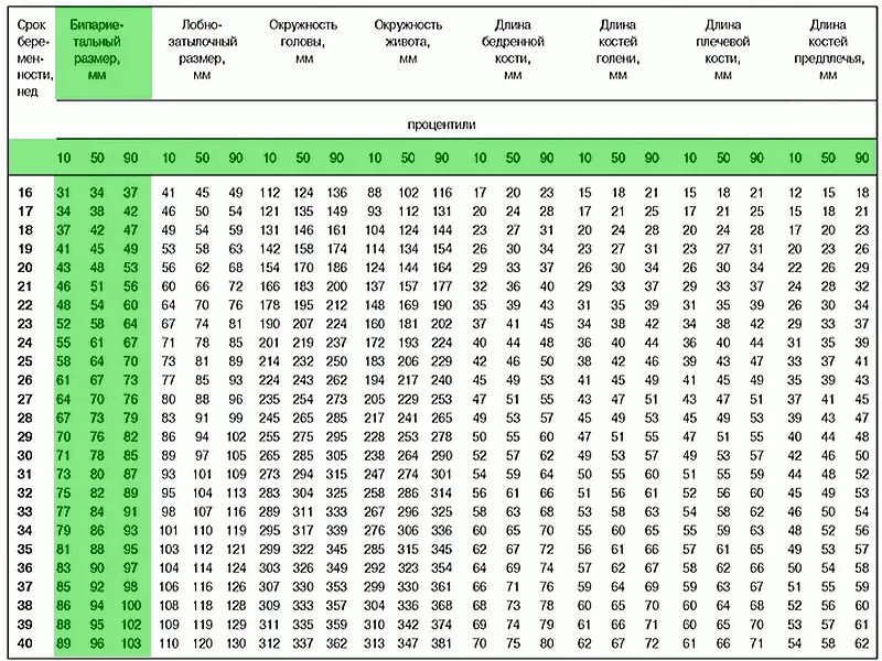 Мозг плода по неделям