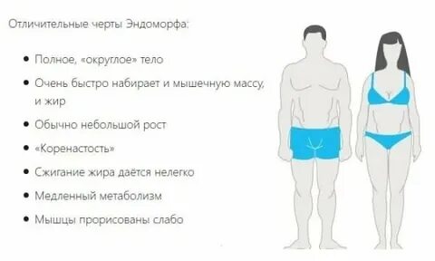 Телосложение питание