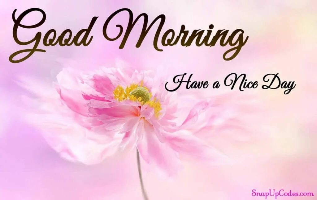 Morning to remember. Good morning на слайд для 2 класса. Обои на телефон Эстетик герл Гуд морнинг. Good morning Liza открытки красивые.