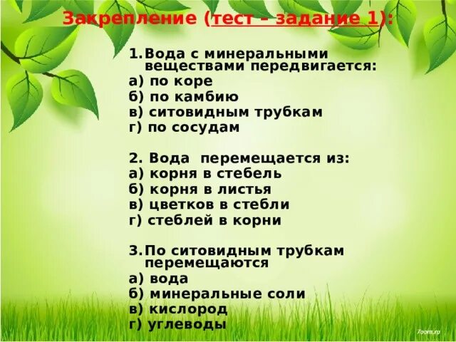 Тест передвижение веществ у растений 6 класс