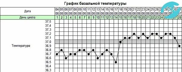 Пустая овуляция. Примерный график базальной температуры. График базальной температуры беременной женщины. График базальной температуры на ранних сроках беременности. Таблица базальной температуры при беременности.