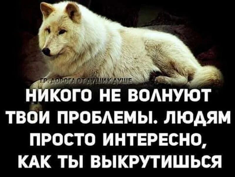 Никому не скажу и не надо. Афоризмы про проблемы. Цитаты про проблемы. Фразы про проблемы. Высказывания о проблемах.