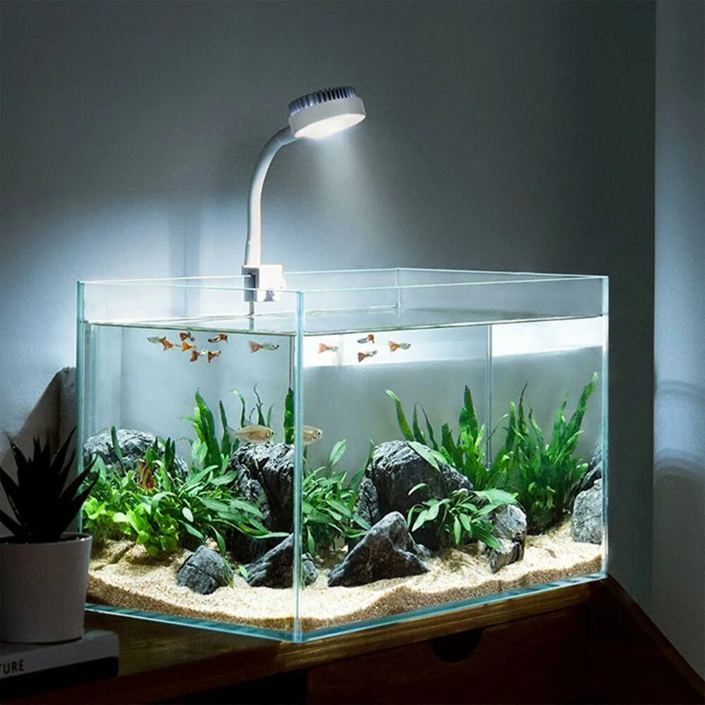 Светильник q2 led plant. Лампа для аквариума 30 литров. Лампа в аквариум для растений. Светодиодный светильник для аквариума салатовый. Люминесцентные лампы для аквариума.