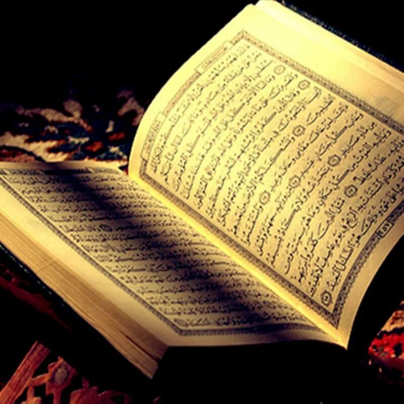 Слушание корана. Коран. Коран открытый. Куран. Фото Корана красивые.