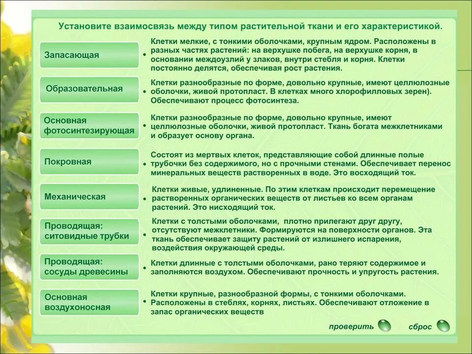 Цветок функции кратко. Ткани растений ЕГЭ функции. Ткани растений ЕГЭ биология таблица. Растительные ткани ЕГЭ биология таблица. Ткани растений что образуют и их функции \.