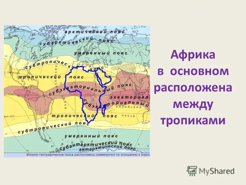 специфика природы африки. доклад африка особенности природы. характеристика природы африки. географическое положение африки 7 класс география. особенности природы африки 7 класс география.