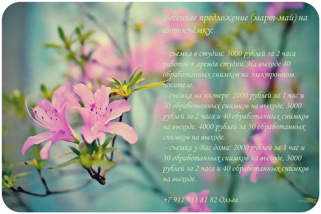 ранняя весна. подснежник белоцветник весенний снег. цитаты про весну. предложение весенний день. первоцветы - подснежники, ландыши?.