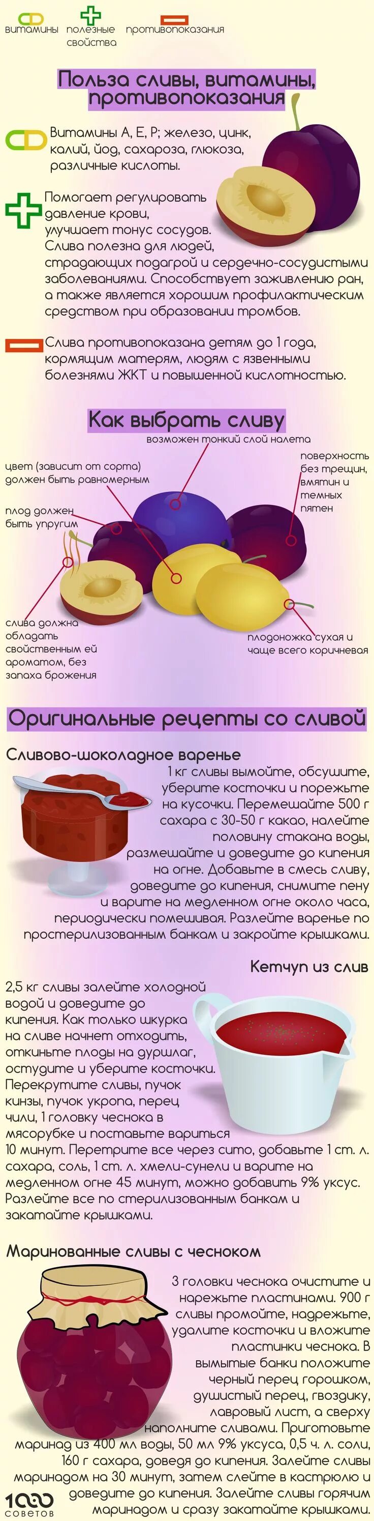 Чем полезна слива для человека. Чем полезна слива для человека. Чем полезна слива. Чем полезна слива для человека. Чем полезна слива.