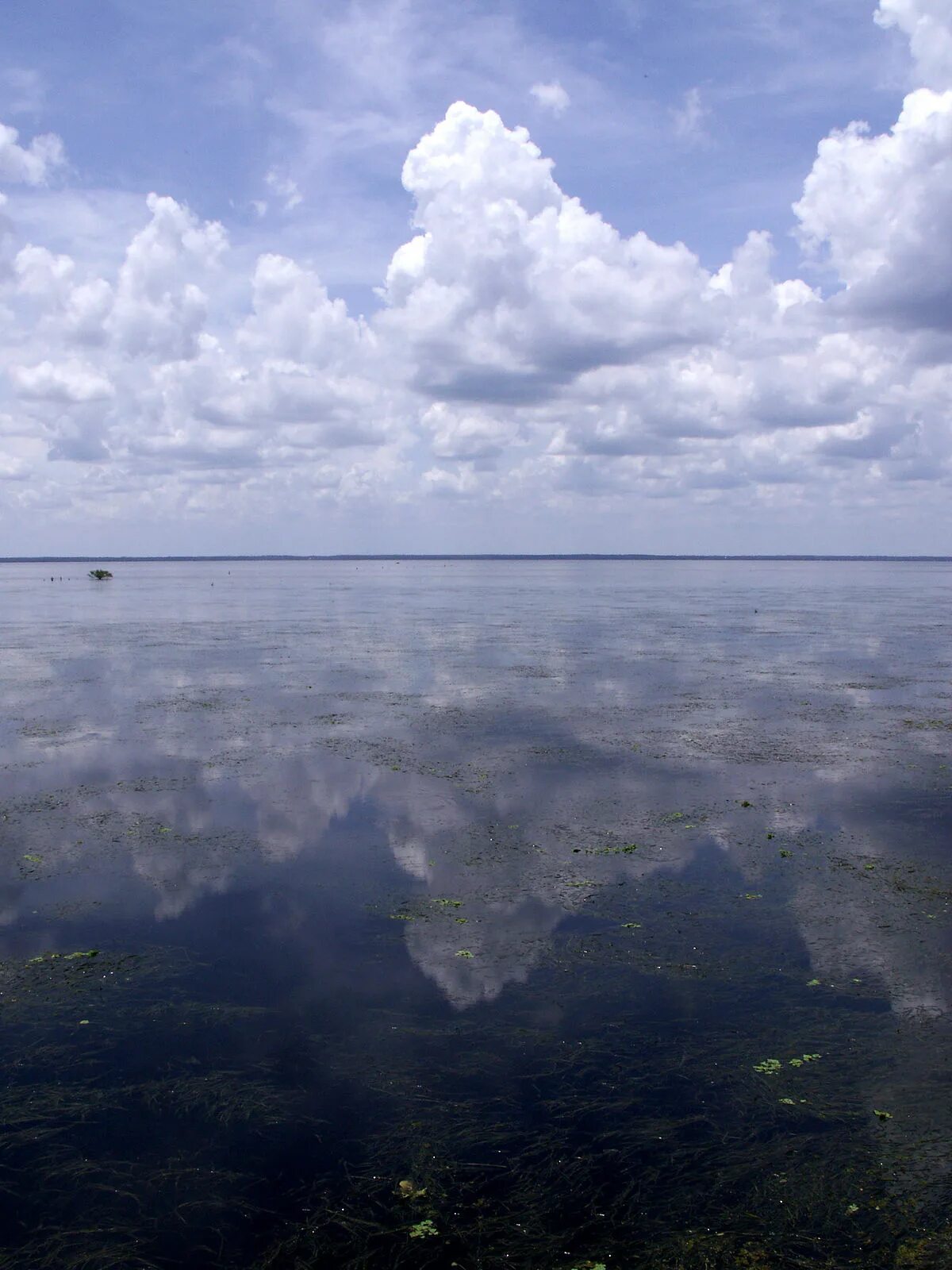 Лейк Джордж озеро. Озеро Джордж Флорида. Флорида озера Харни. Облака во Флориде.